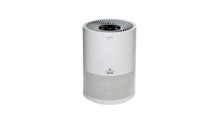 Best Air Purifier For Pets In 2024   4 3 