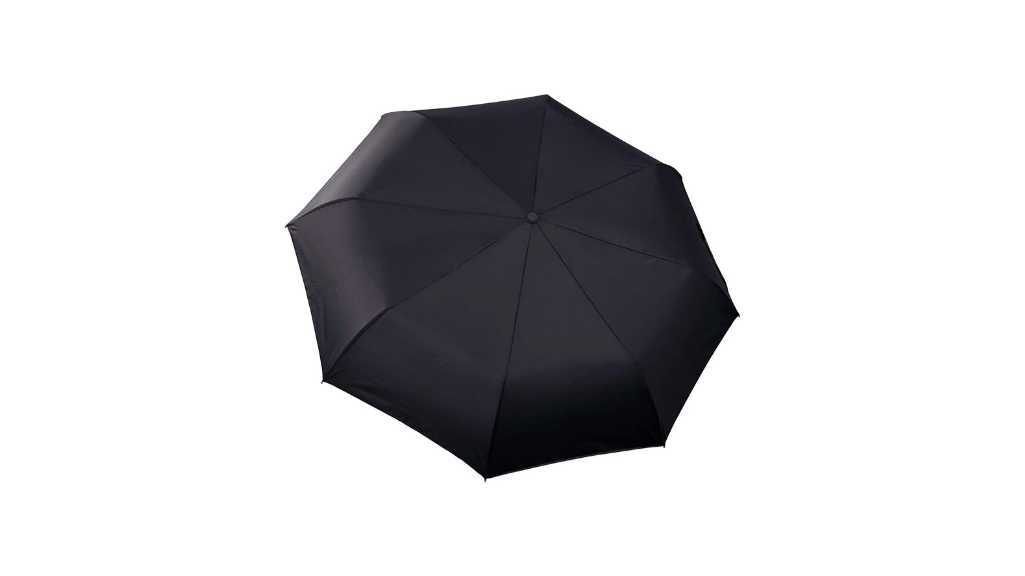 The 5 Best Umbrellas In 2024